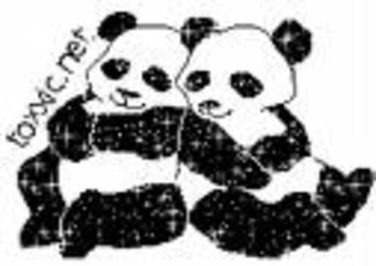 3432 - ursuleti panda