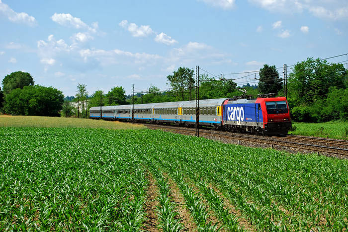 E484-004-2_
