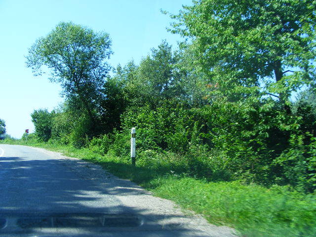 DSCF3612
