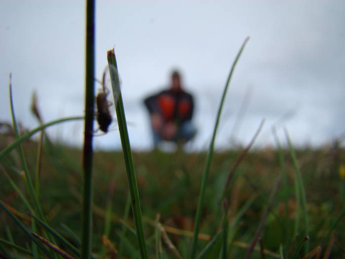 DSC03816 - Concediu 2009