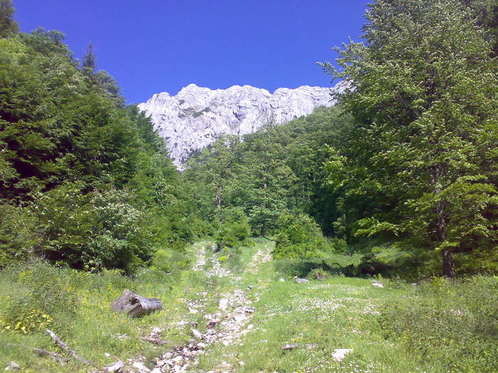 07062009885 - Valea Cheii-Podul Dambovicioarei-Piatra Craiului