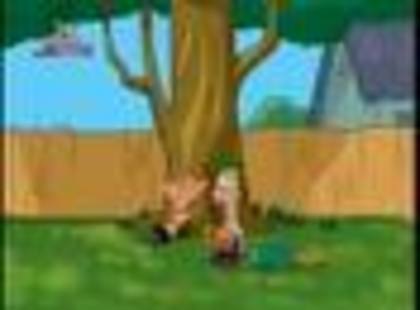 images17 - Phineas si Ferb