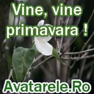 57 - avatare