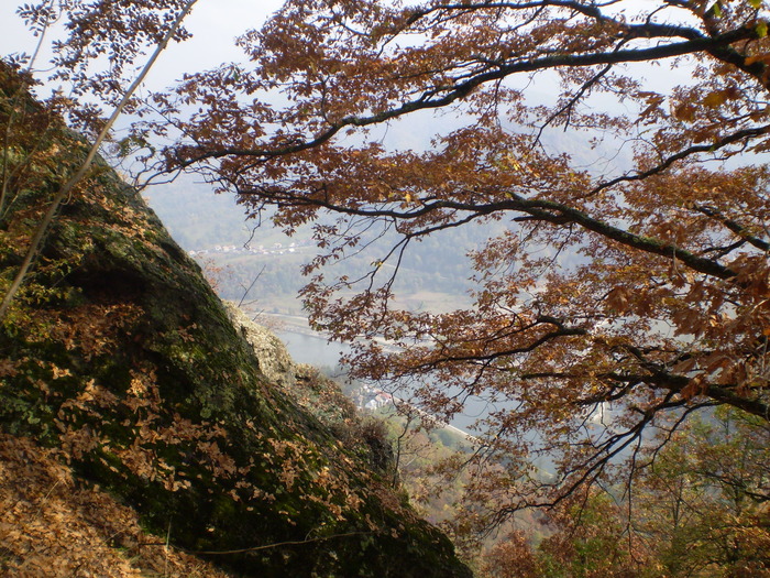 VALEA CALINESTI-PIETRELE ZMEILOR 11.10.2009 097 - VALEA CALINESTI-GROTA PIETRELE ZMEILOR