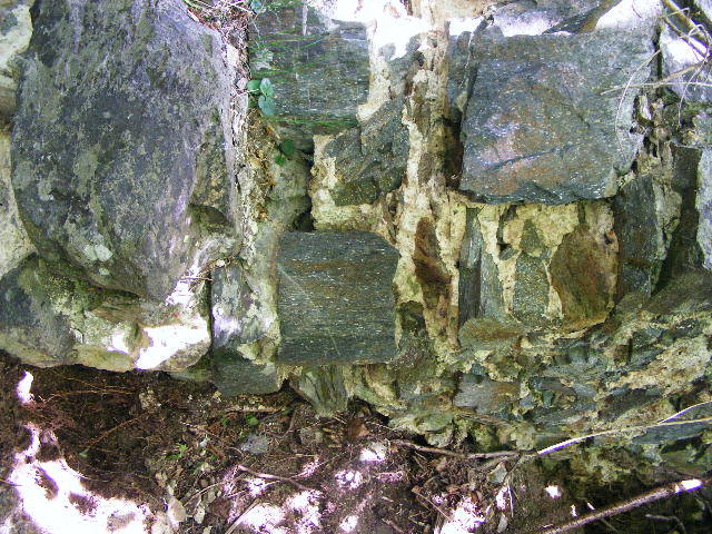 DSCF0564