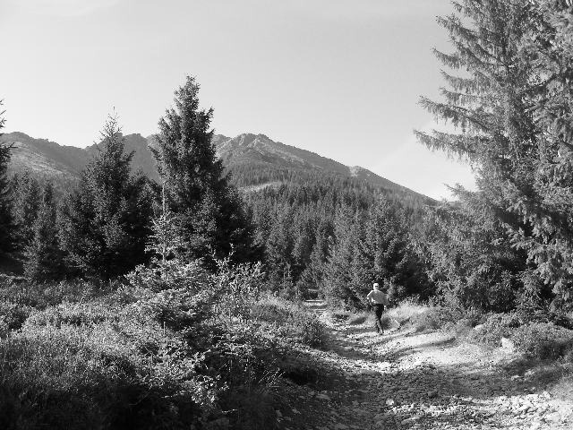 DSCF6447 - muntii Rodnei