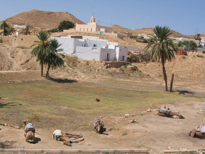 camile odihnindu-se - Tunisia