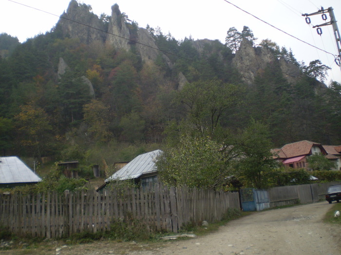 VALEA CALINESTI-PIETRELE ZMEILOR 11.10.2009 195 - VALEA CALINESTI-GROTA PIETRELE ZMEILOR