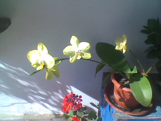Imag008