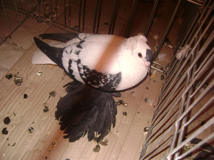 DSC08100