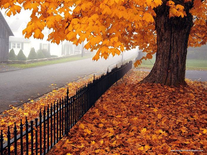 Seasons, West Virginia - Very Beautiful Nature Scenes