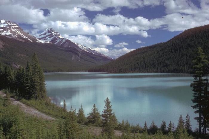 8776757687687 - Peisaje