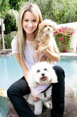 normal_001 - Ashley Tisdale