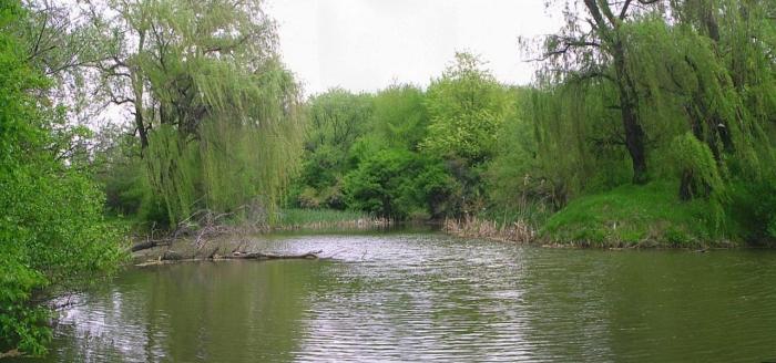 Strehareti - locul de pescuit (panoramica) - Iraky - La raci