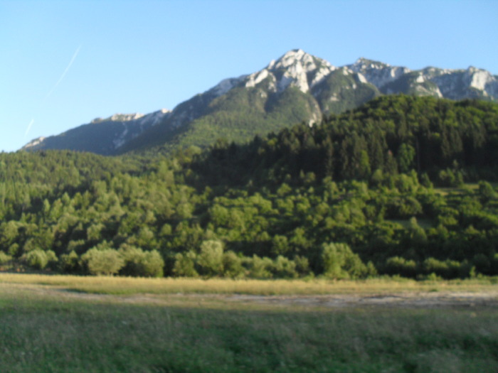 SDC10081 - piatra craiului