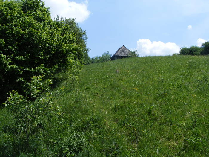 DSCF1070
