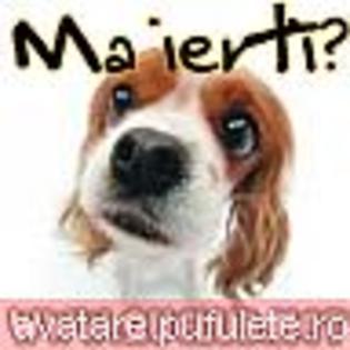 dragoste_0318 - avatare iubire