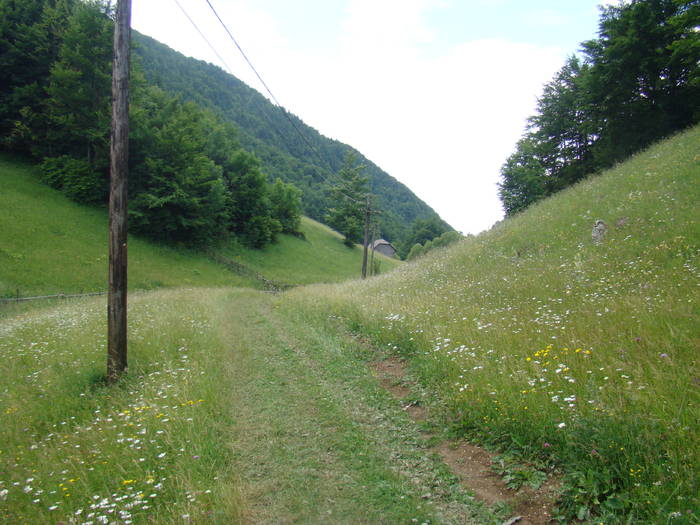 DSC03886 - Concediu 2009