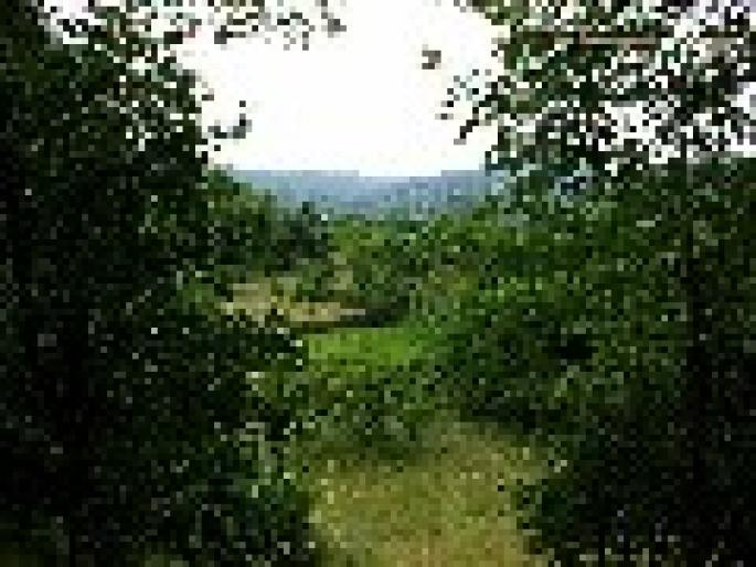 small_4529f6bab9fdbpeisaj1