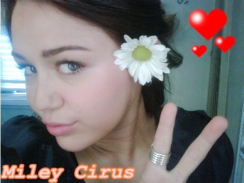 Miley Cirus - album pt extramegasuperfanmileysmiley