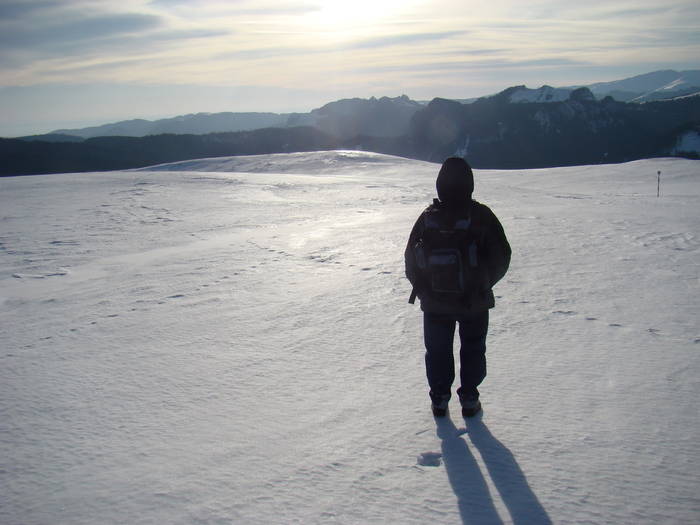 DSC01194 - Bucegi - Valea Izvorul Dorului-Padina