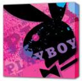 AYD5FD4CAIVOKT0CAVS8DCPCAX2P6ZMCAAIZWV8CAJL5T17CAVMOPQ5CAJG863YCAZKHN5CCA0N7FS7CA95B9AJCAJ6N61QCA9OE