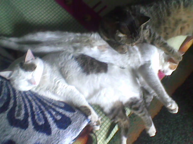 Imag033