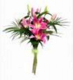 images_11
