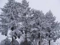 34598765432 - Imagini de Iarna