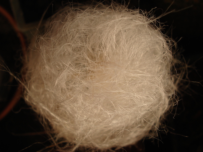 DSC05230