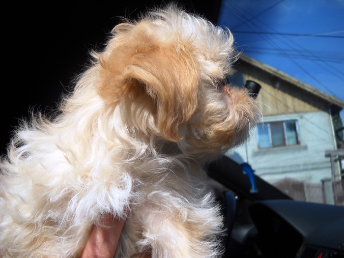 Picture 318; 1.71mb jpeg 9/29/2009 11:14am
