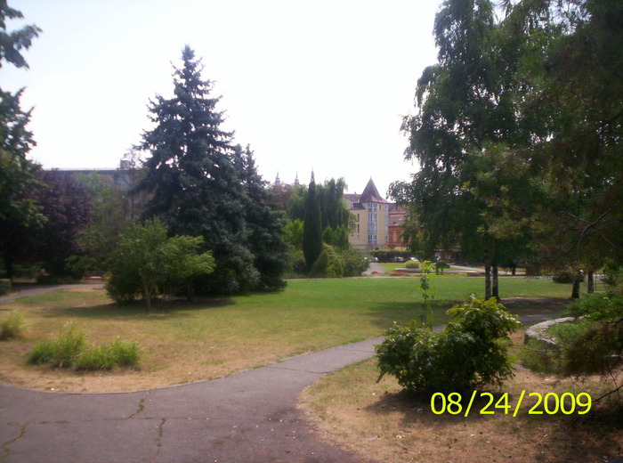 prin parc; dupa o plimbare linistia prin parcul botanic,iesim spre oras
