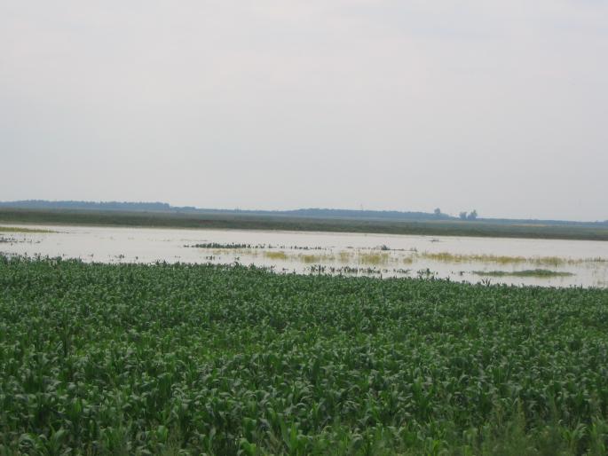 inundatii (93)