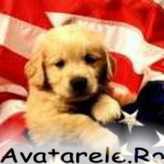 LNMXAHJUWTSGSWVEMGJ[1]