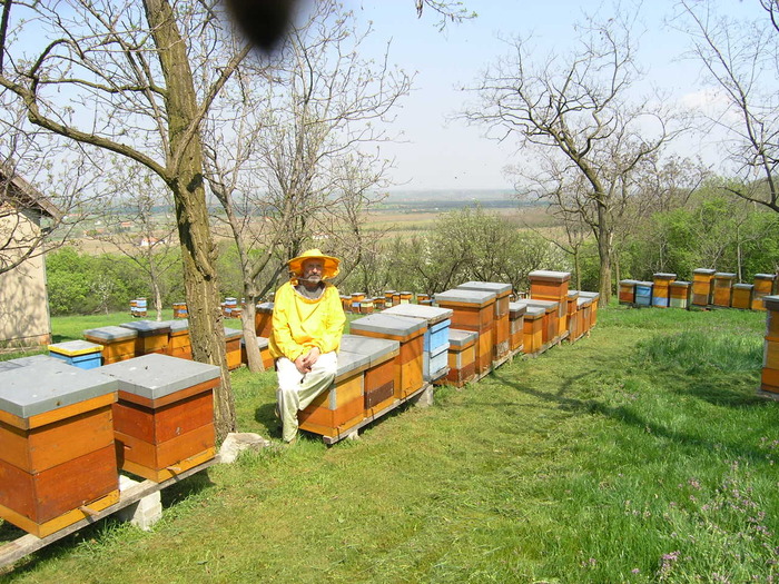 P4091990 - Majevic profesional apicultor
