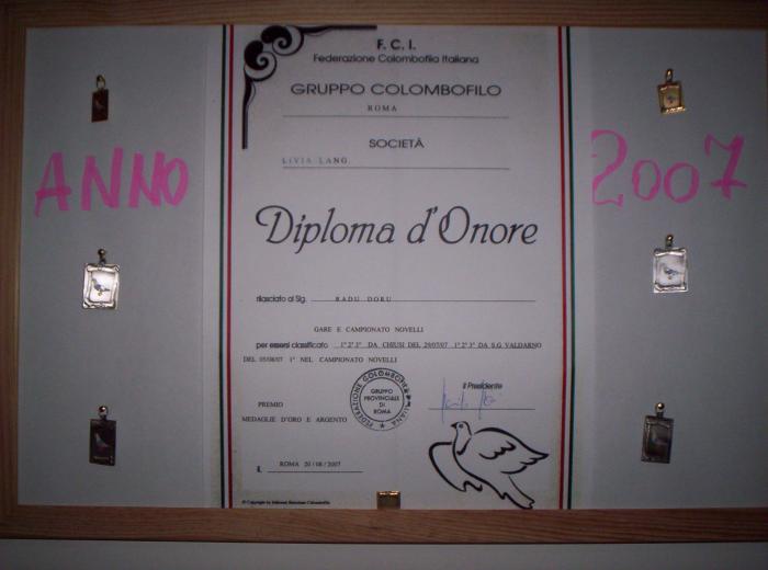 Diploma si 7 premii la pui 2007; Diploma si 7 premii la pui 2007
