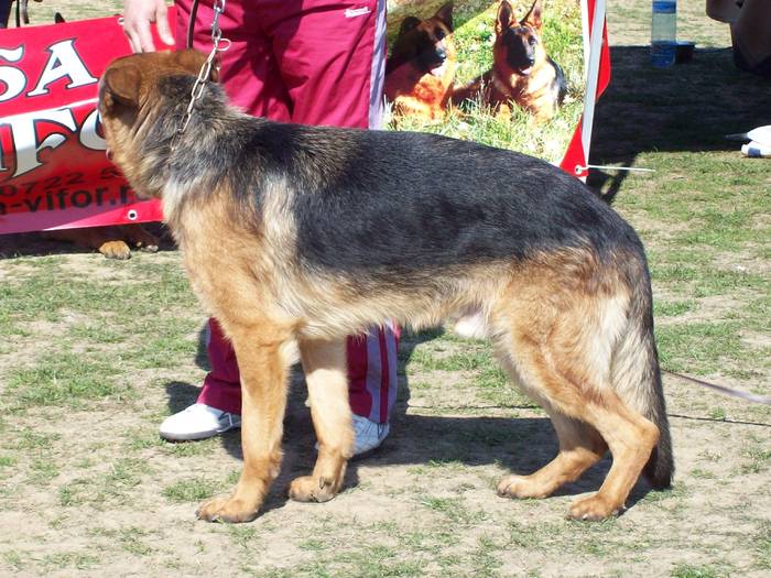 100_6814 - Expo-Pitesti-28martie2009