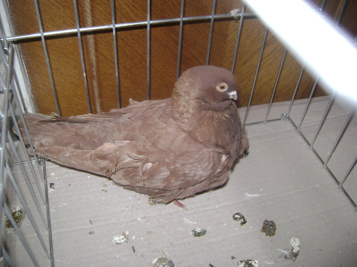 DSC08084