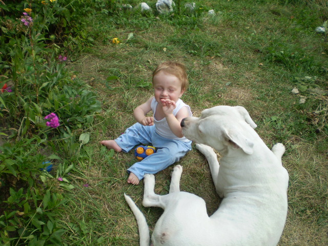 Picture-olympus 756 - dogo argentino