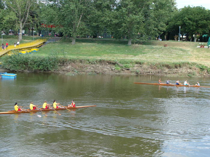 Memorial Sorin Lobont Editia a IX a (2008)