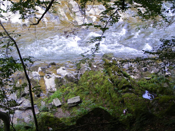 DSCF0416 - Cheile Lapusului- Biserica V- Cetatea Chioar