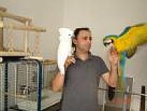 imagesCAPCXT3J
