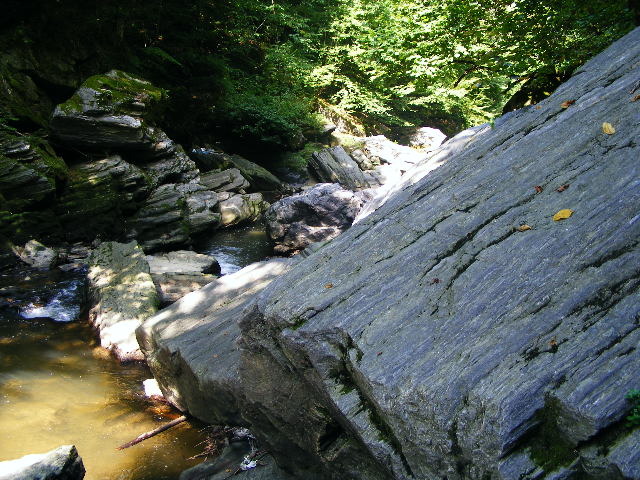 DSCF5242
