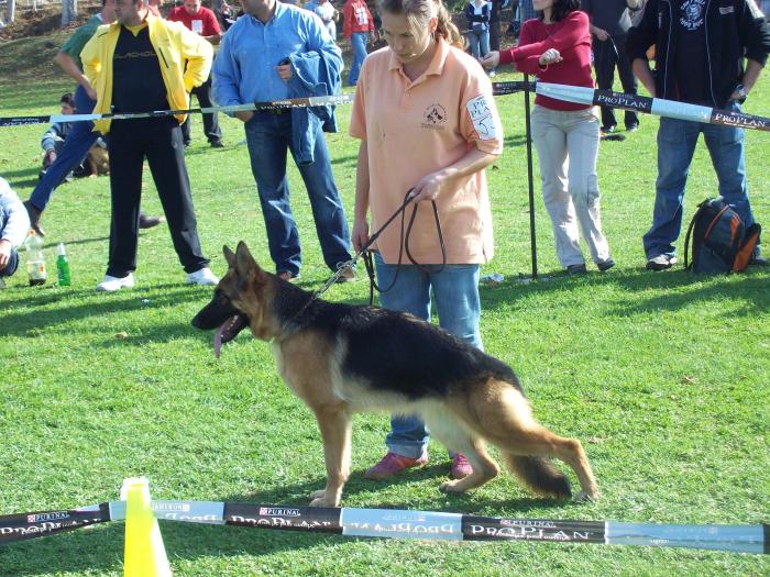 Sora ODIN-Fica Pakros