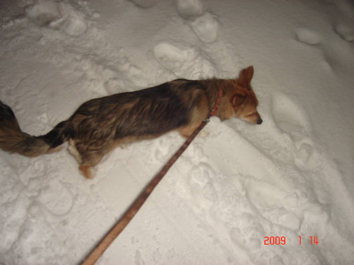 Picture 084 - Montreal