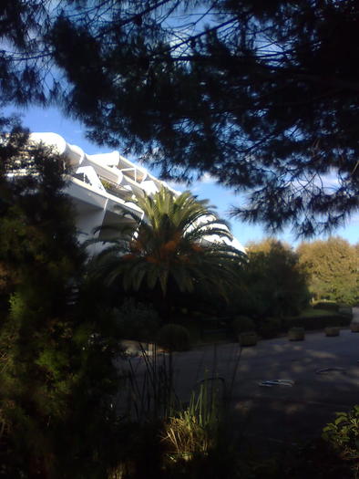 ichebana din flori si beton - ApiMondia