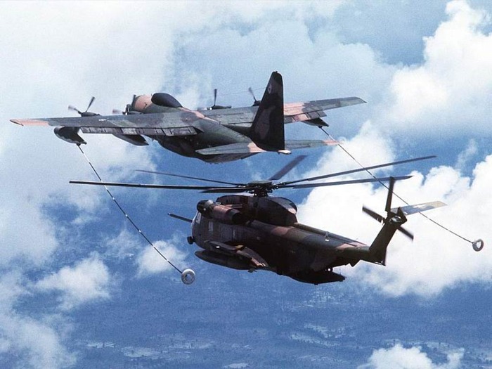 webshots408 - Animale