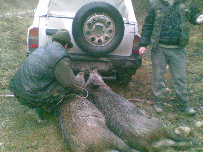 09122009(020) - vanatoare padure