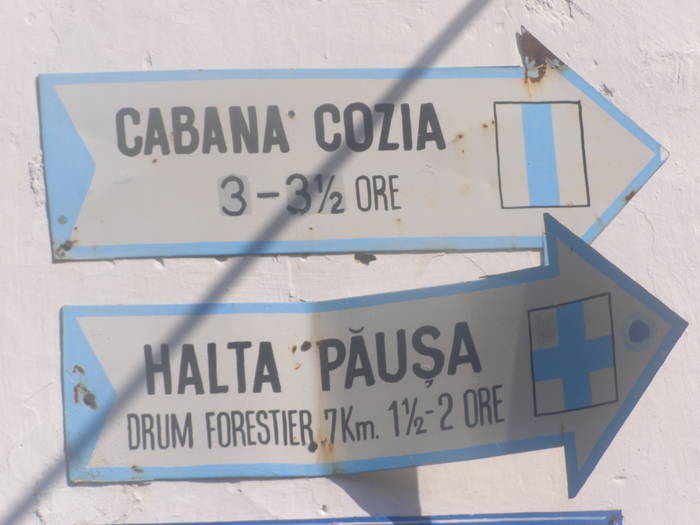 AM FOST SI PE AICI ALTADATA
