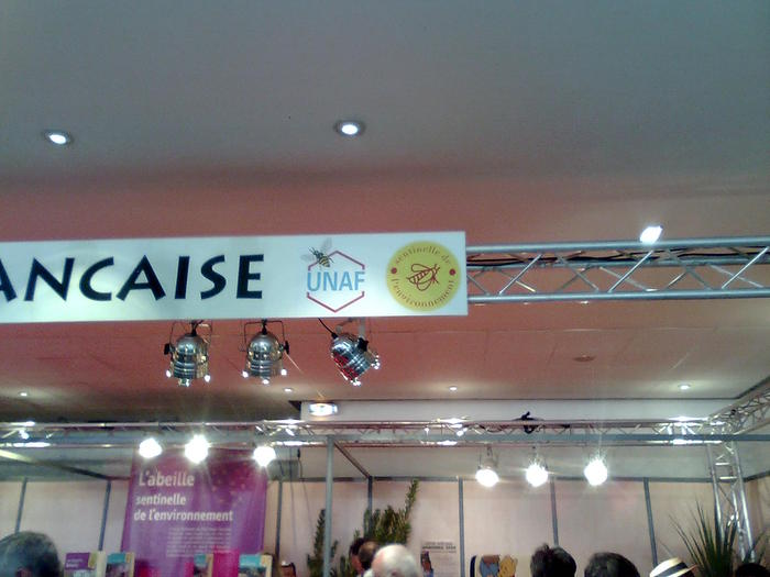 Imagine1131 - ApiMondia